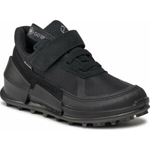 Sneakersy ECCO Biom K2 GORE-TEX 71126251575 Black/Black/Black/Black