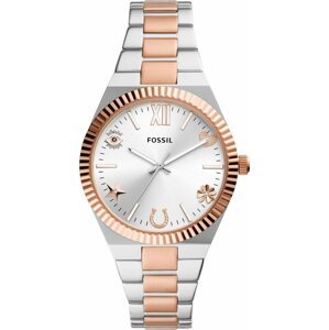 Hodinky Fossil ES5261 Silver
