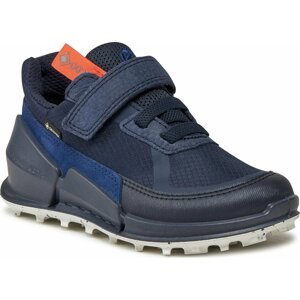 Sneakersy ECCO Biom K2 GORE-TEX 71126260749 Night Sky/Night Sky/Blue Depth