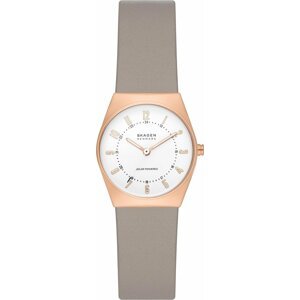 Hodinky Skagen SKW3079 Rose Gold