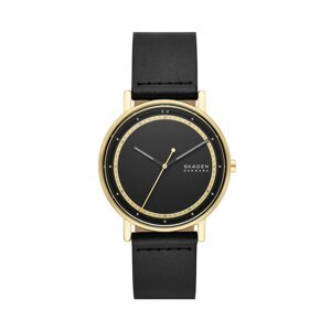 Hodinky Skagen Signatur SKW6897 Gold/Black